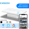 Waterproof Dual Controller Us Wifi Switch